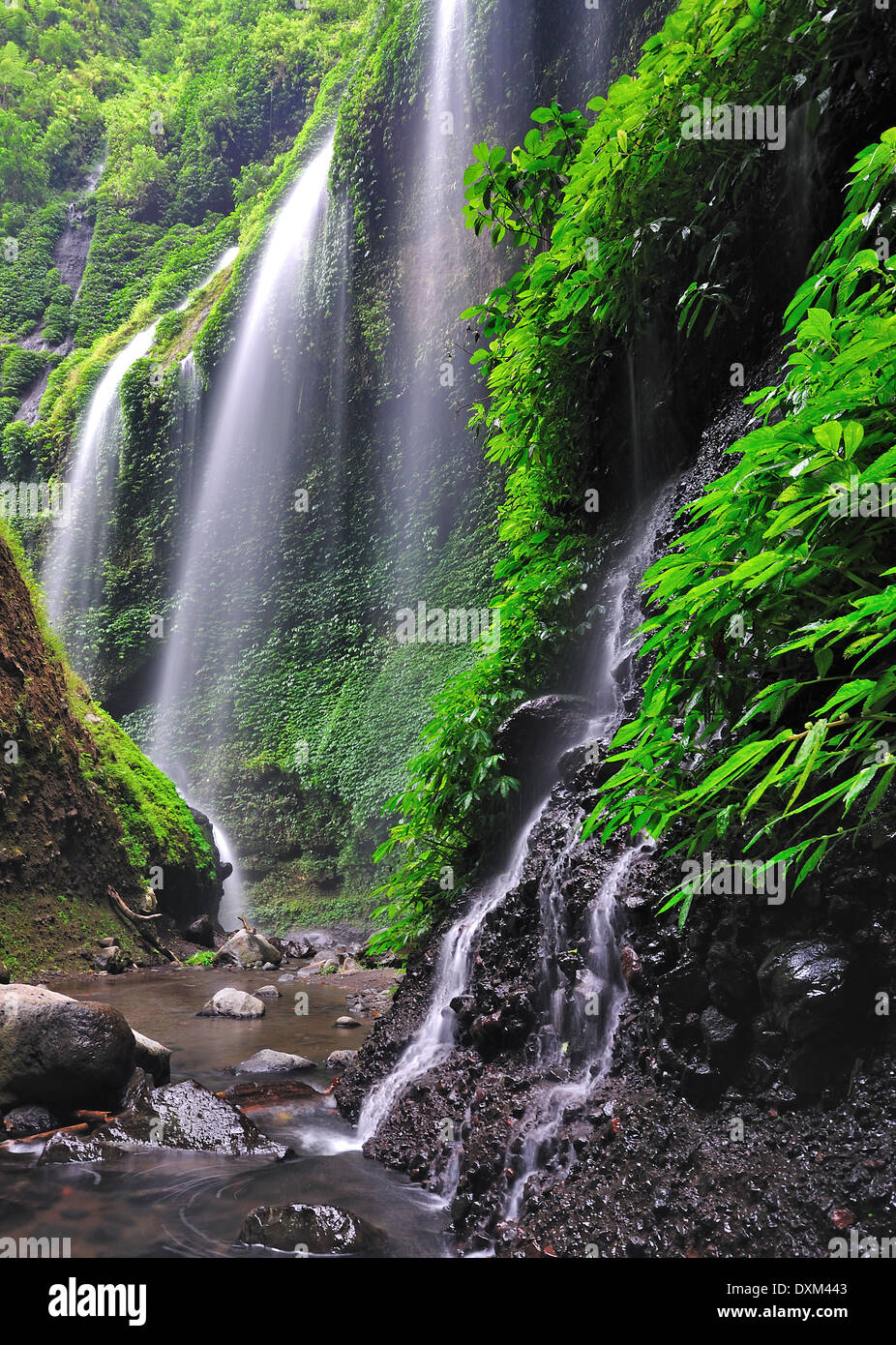 Madakaripura Waterfall in Bromo Tenger Semeru National Park, East Java, Indonesia Stock Photo
