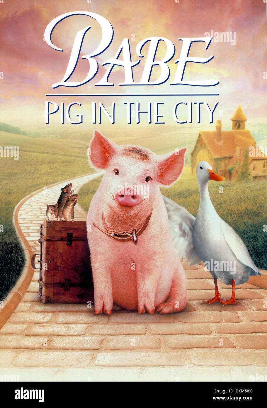 BABE: PIG IN THE CITY Stock Photo