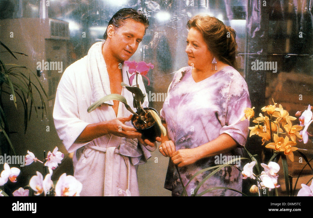 THE WAR OF THE ROSES Stock Photo - Alamy