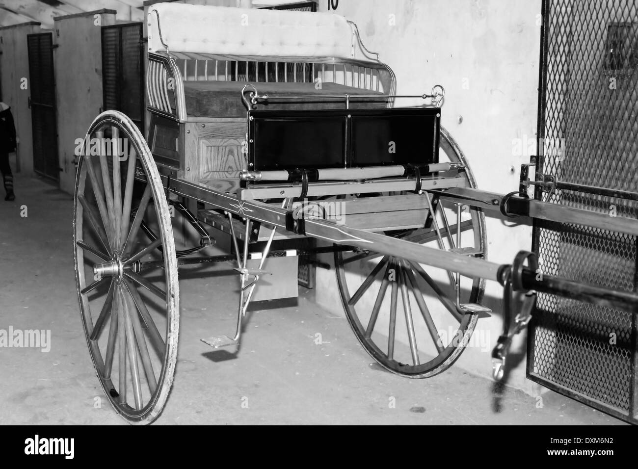 HORSE CARRIAGE Stock Photo