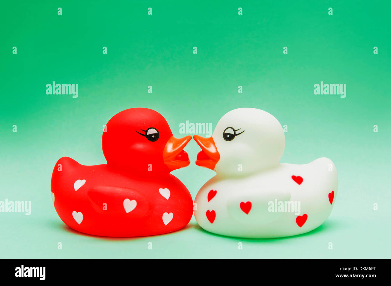Kissing Ducks Stock Photo