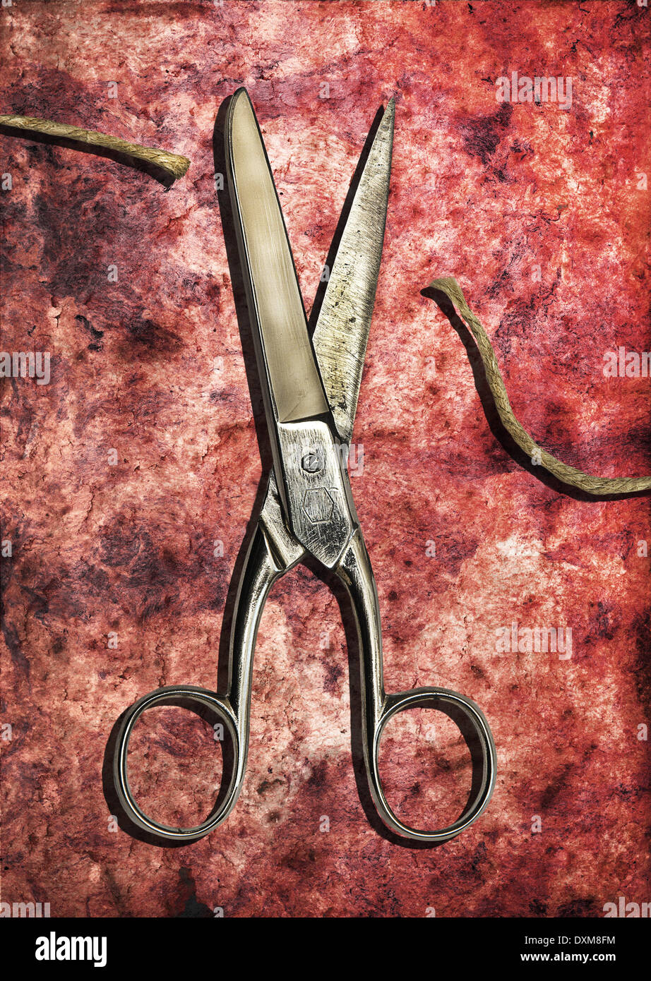 The Final Cut Stock Photo Alamy