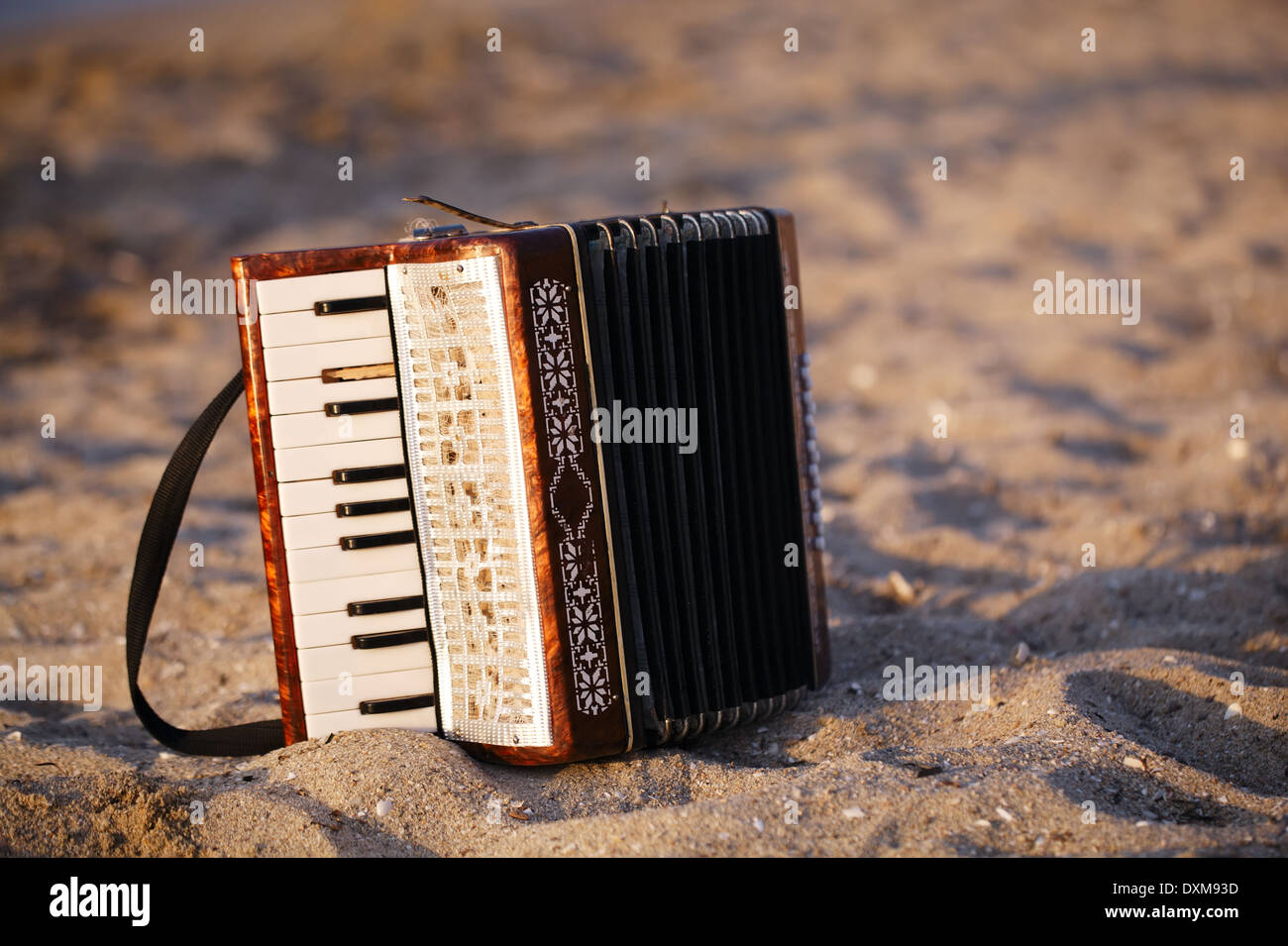Traditional tango musical instrument hi-res stock photography and ...
