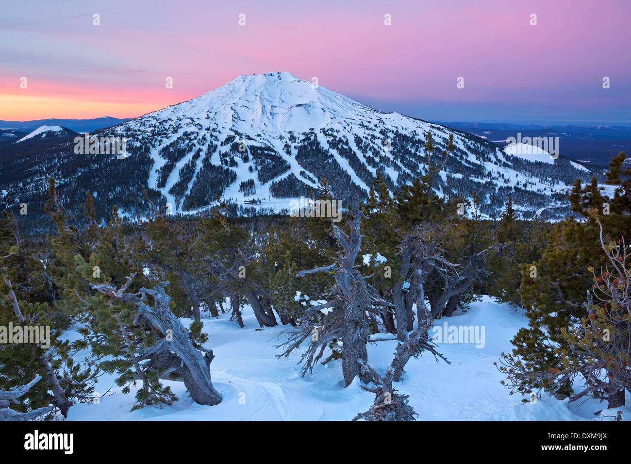 The morning view of Mount Bachelor from Tumalo Butte in the winter. Oregon. USA Stock Photo