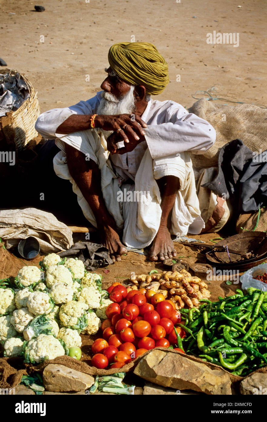 Indian old man sitting on hi-res stock photography and images - Alamy