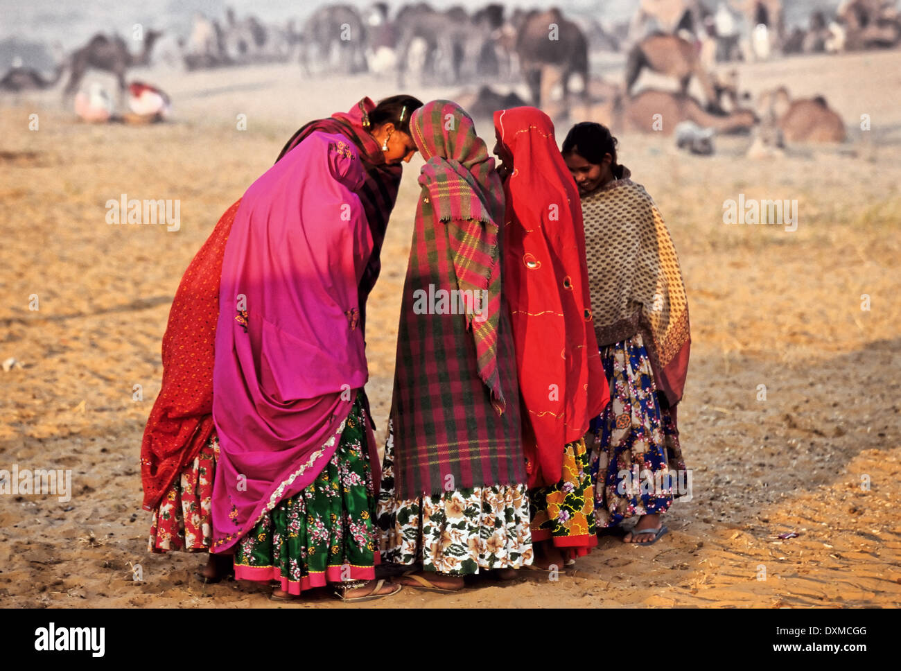 Group of Indian women in brightly-colored shawls at Pushkar camel fair, India Stock Photo
