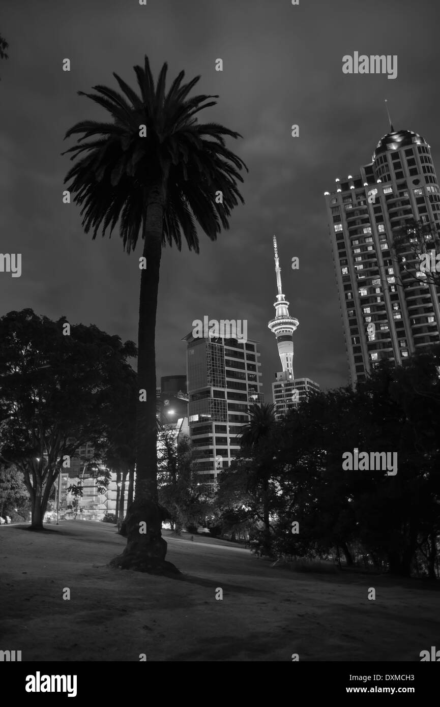 New Zealand, North Island, Auckland, Sky Tower with shadow of a palm tree Stock Photo