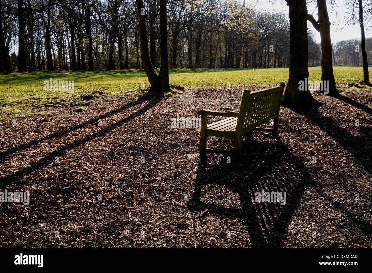Empty bench in parkland, on a sunny spring morning. Stock Photo