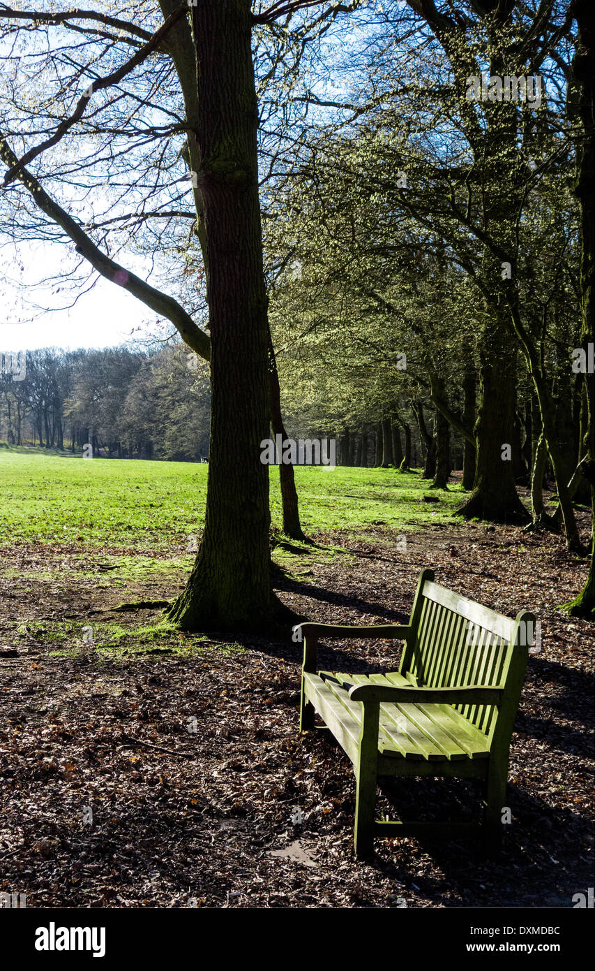 Empty bench in parkland, on a sunny spring morning. Stock Photo