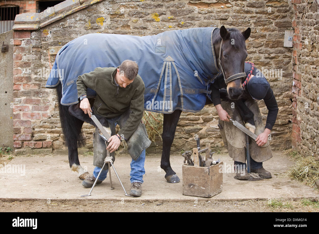 Professional farriers working at a stable in North Lincolnshire