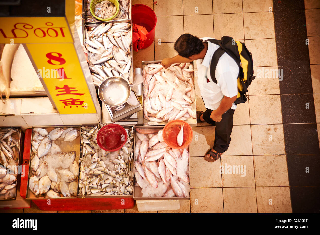 Fish market in Singapore Stock Photo Alamy