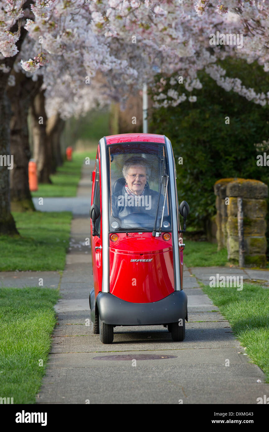 Elderly woman driving motorized scooter under Japanese cherry blossom trees in spring bloom-Victoria, British Columbia, Canada. Stock Photo