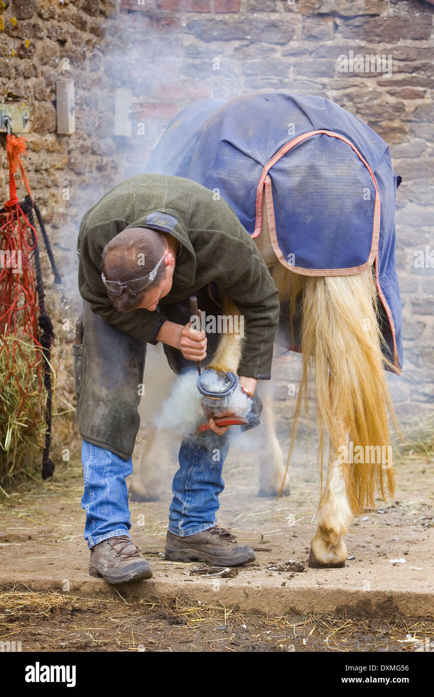 A professional farrier working at a stable in North Lincolnshire