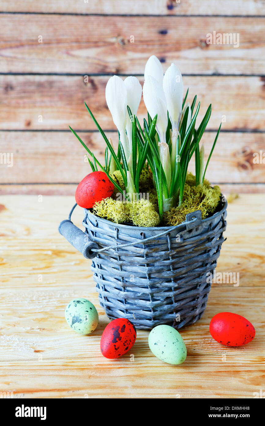 crocuses in a bucket and eggs, easter Stock Photo