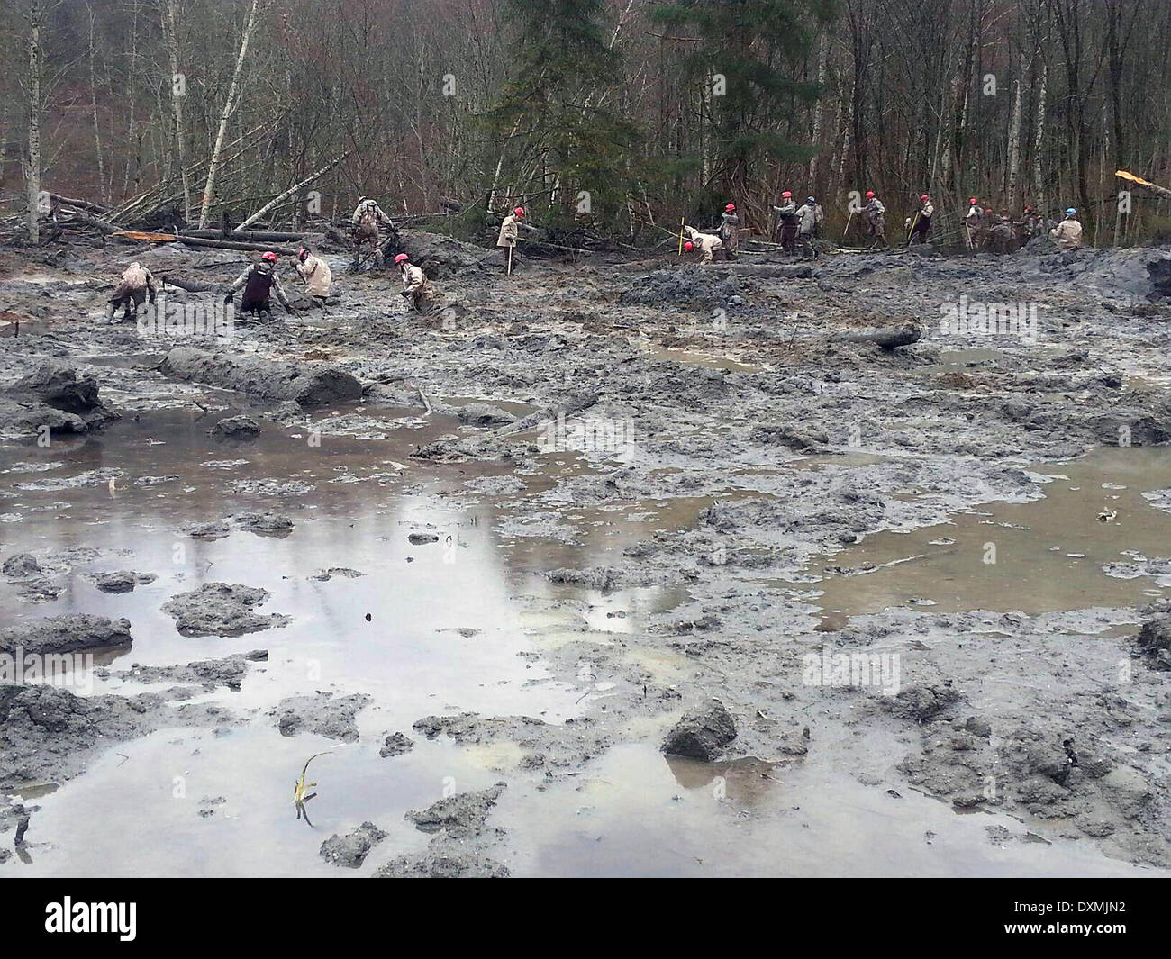 Rescue workers searching to locate victims of a massive landslide that killed at least 28 people and destroyed a small riverside village in northwestern Washington state March 27, 2014 in Oso, Washington. Stock Photo