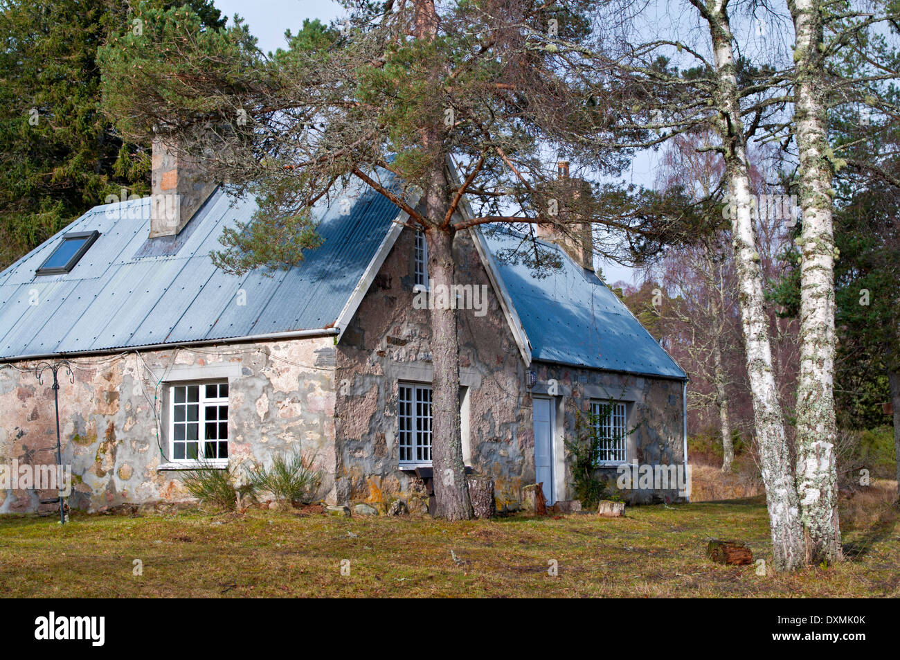 Quaint rustic cottage in the forest on the Rothiemurchus Estate, near Aviemore, Cairngorms National Park, Scotland UK Stock Photo