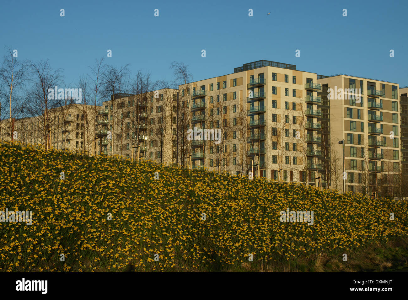 Flats london hi-res stock photography and images - Alamy