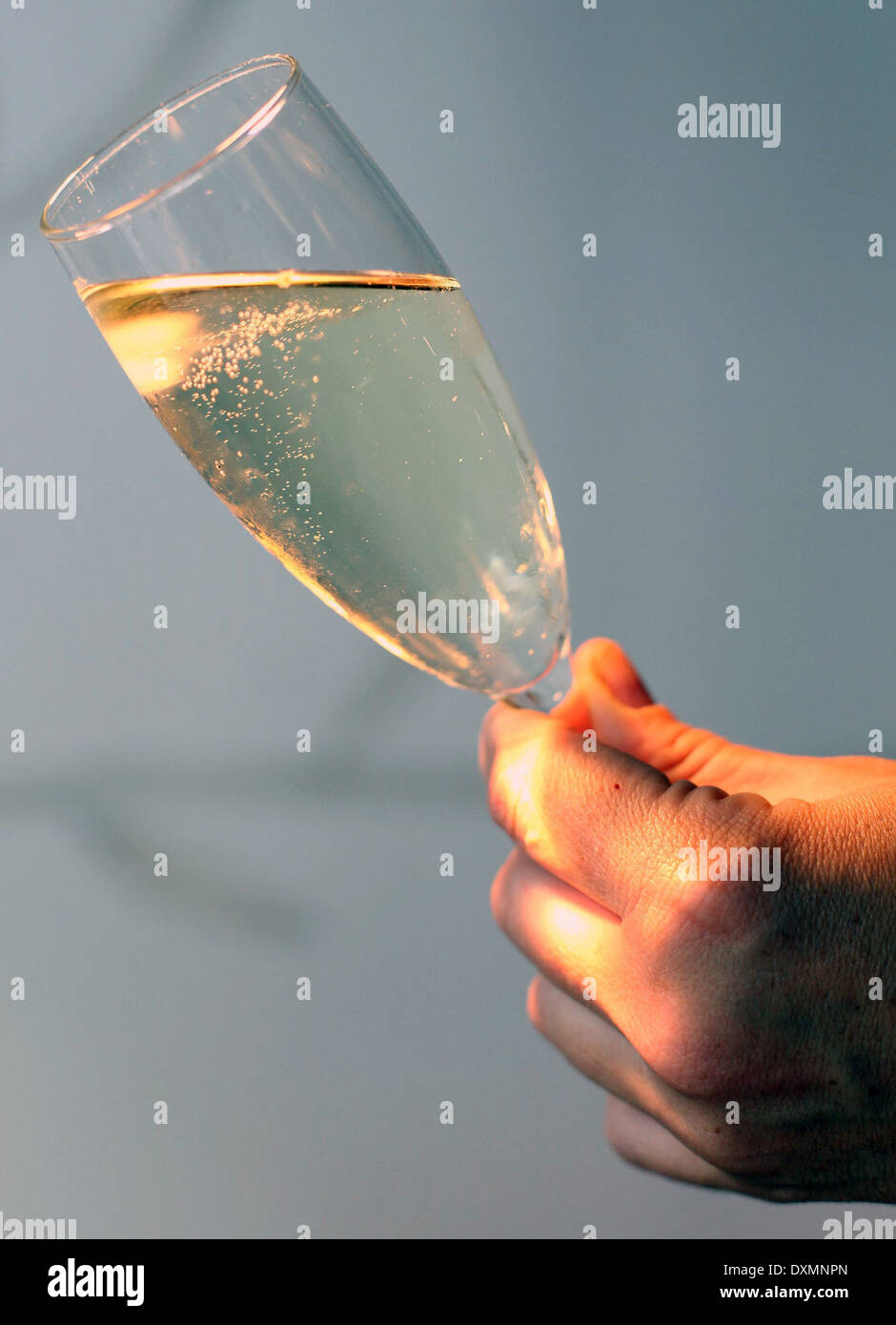 Champagne region hires stock photography and images Alamy