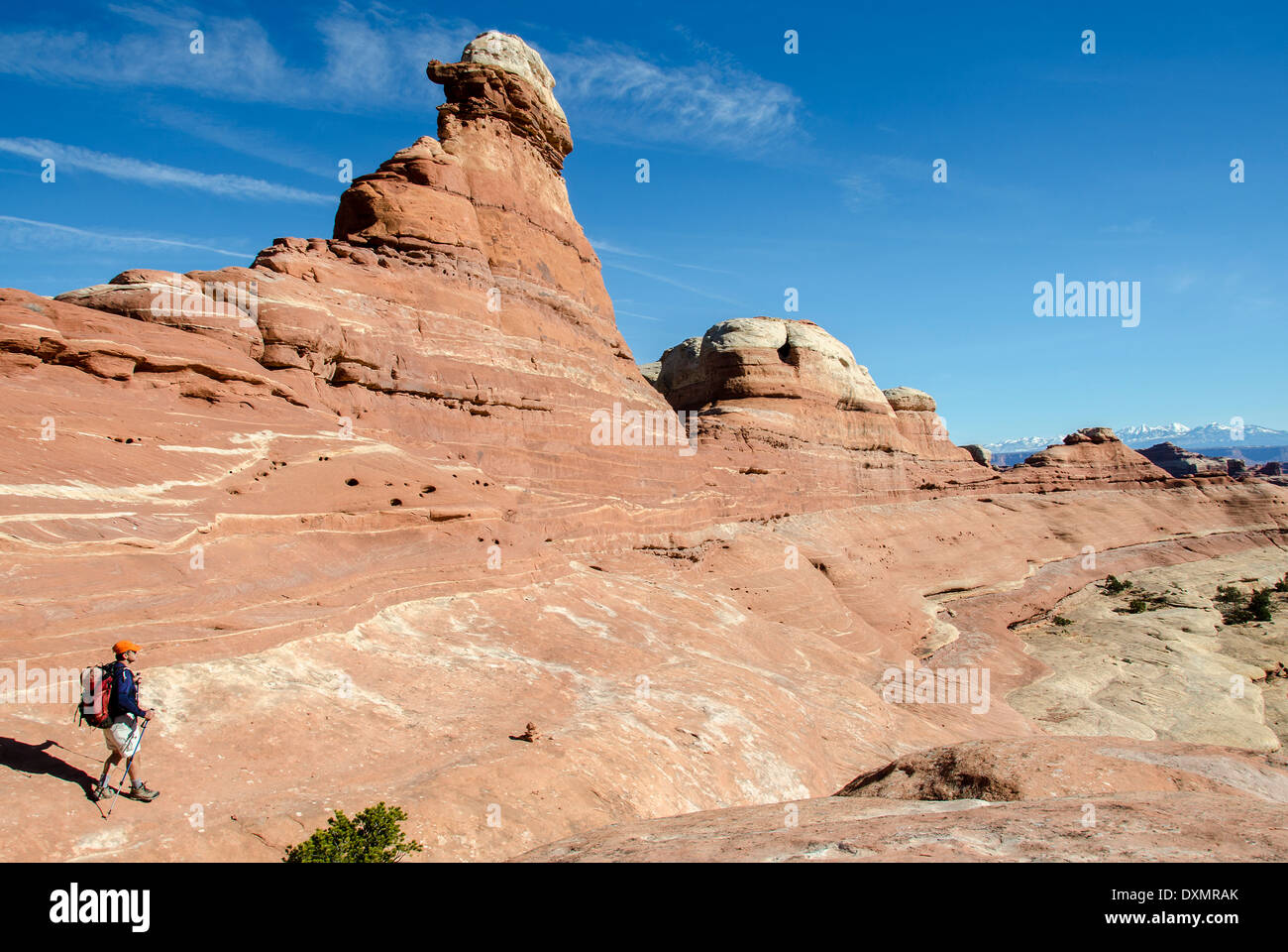 Mike Vining dropping into Squaw Canyon Needles District Canyonlands National Park Utah USA Stock Photo