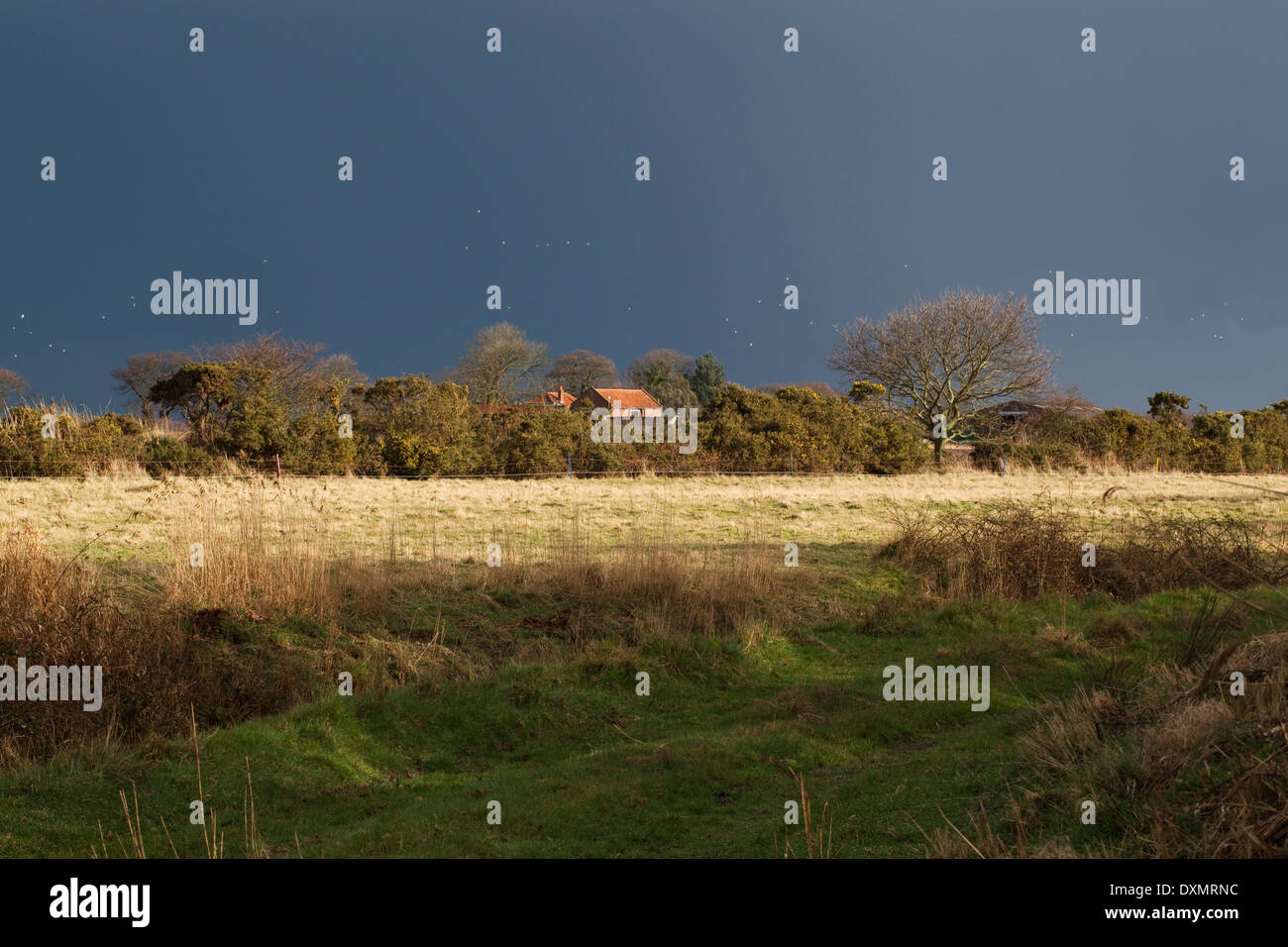 March weather. Rainstorm sky; heavy shower imminent. Ingham. Norfolk. East Anglia. UK. Stock Photo