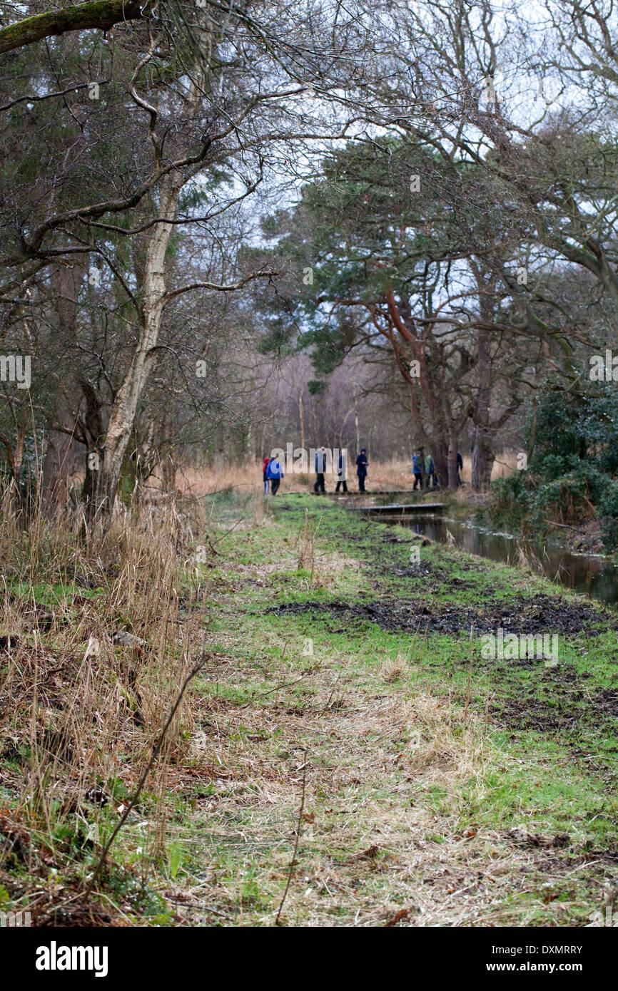 Dykeside walk. Recreational walkers. March; Broadland. Hickling. Norfolk. East Anglia. Stock Photo