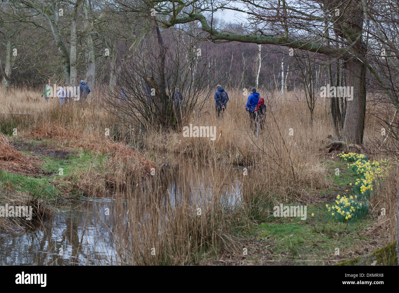 Dykeside walk. Recreational walkers. March. Spring. Broadland. Hickling. Norfolk. East Anglia. England. UK. Stock Photo