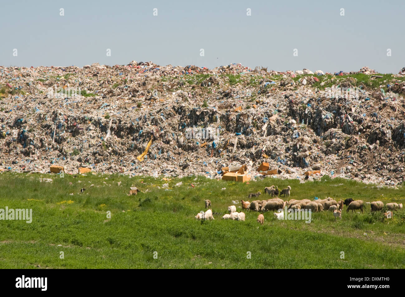 EUROPE/ASIA, Turkey, landfill site outside city next to the E80 motorway Stock Photo Alamy