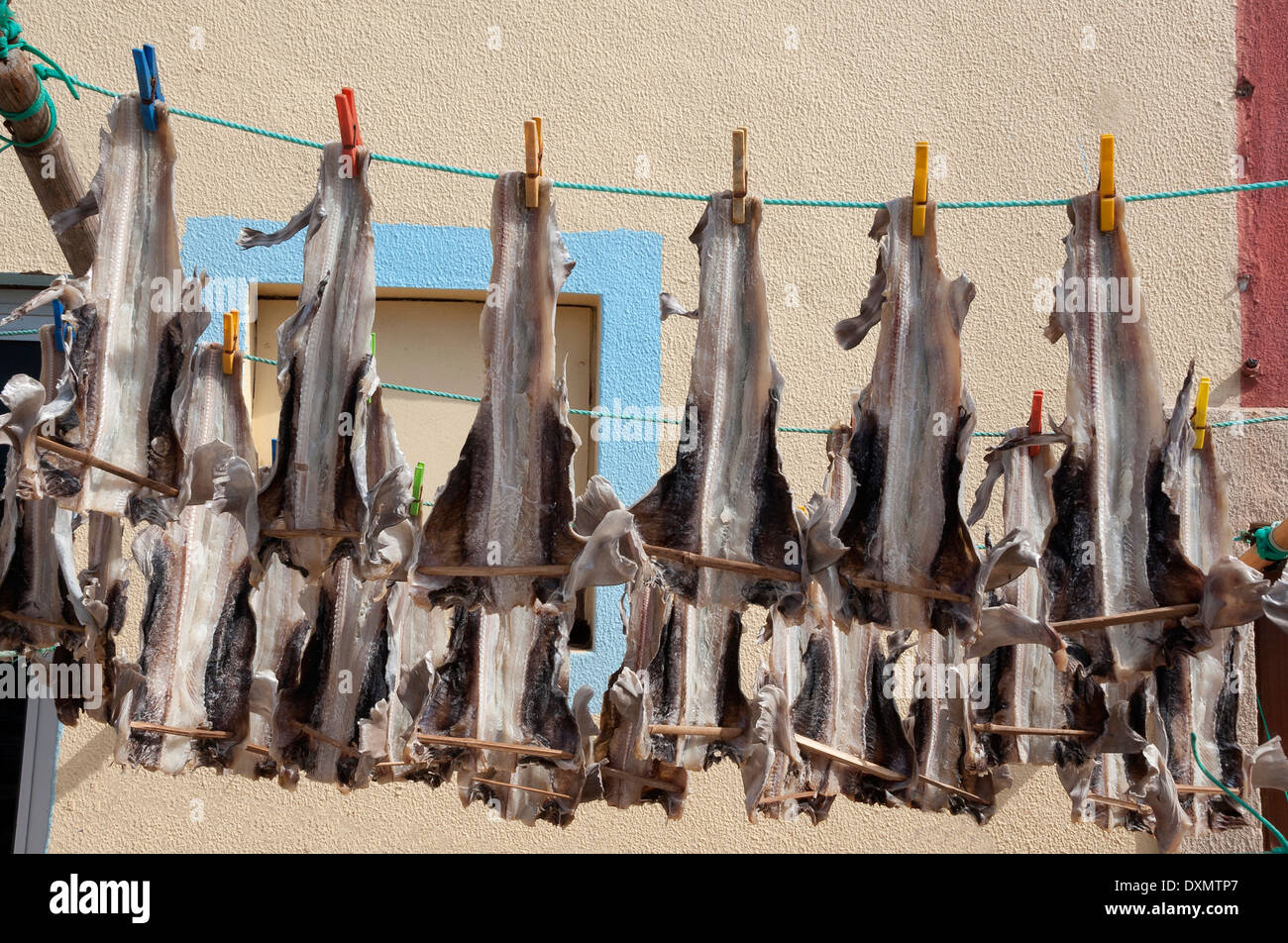 Cod drying in the sun, Peniche, Estremadura and Ribatejo, Portugal ...