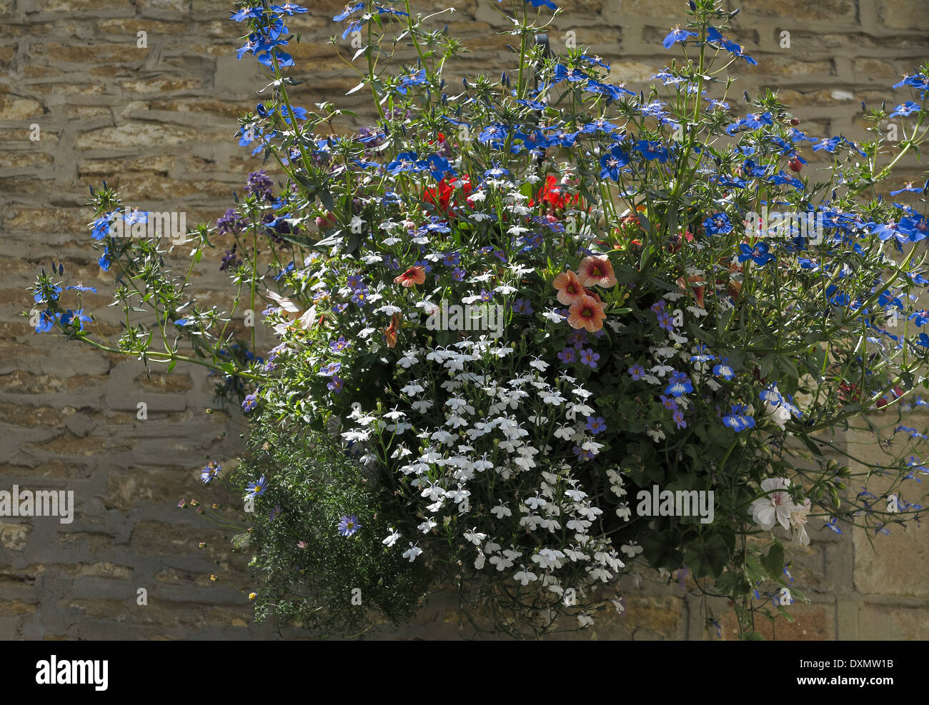 Hanging flower basket Corsham Wiltshire England UK Stock Photo - Alamy