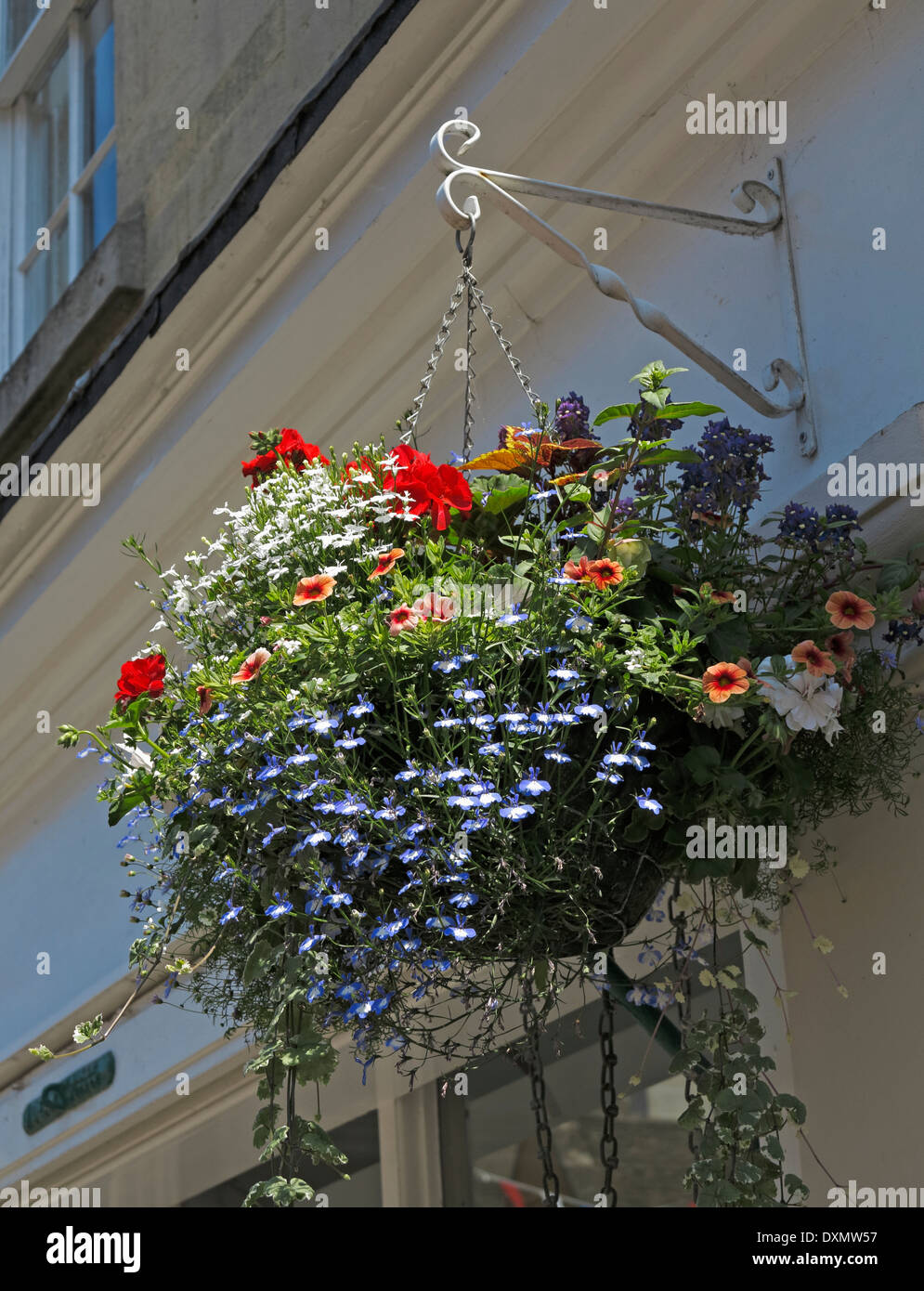 Hanging flower basket Corsham Wiltshire England UK Stock Photo Alamy