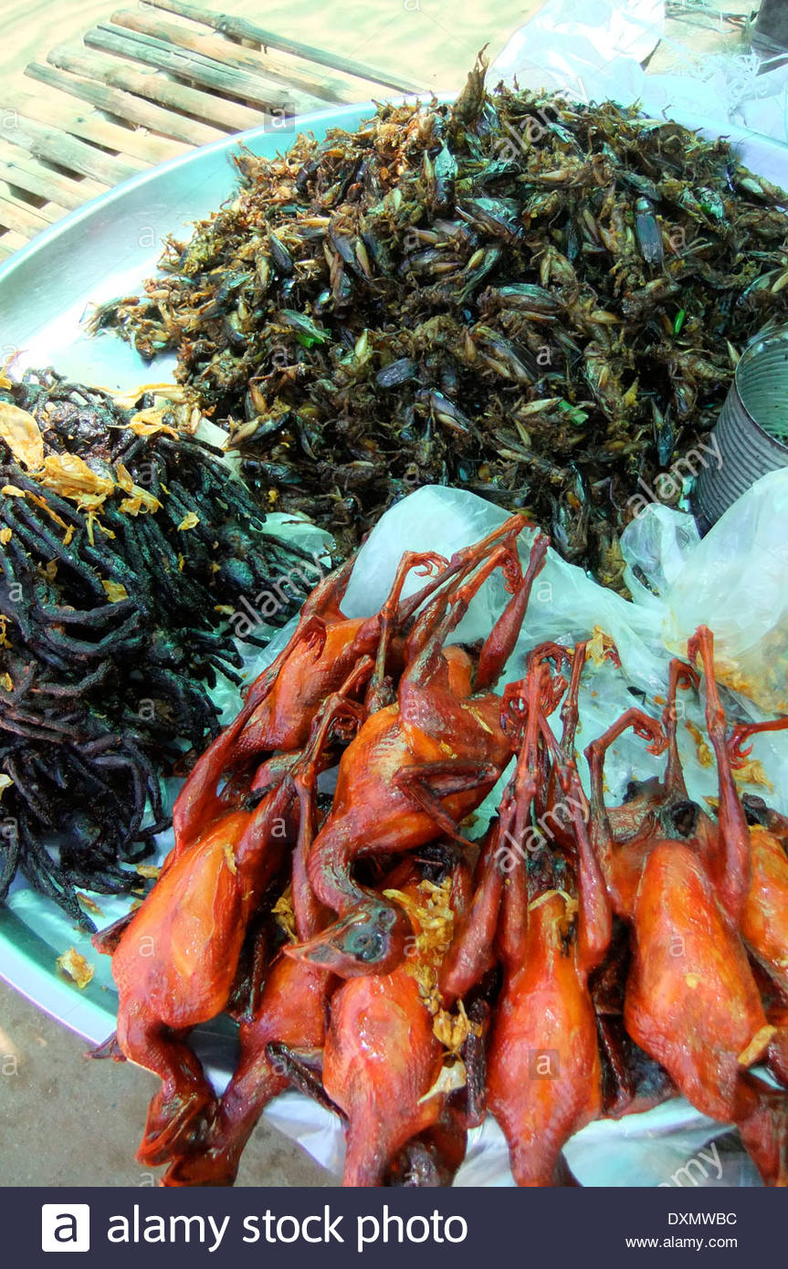 Cockroaches Food Stock Photos & Cockroaches Food Stock Images Alamy