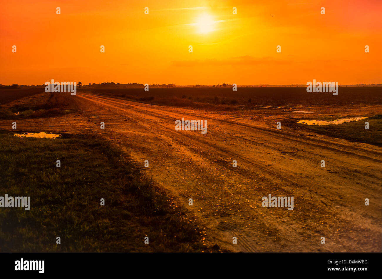 STOVALL, MISSISSIPPI, USA - Crossroads next to Muddy Waters cabin site on Stovall Plantation, late afternoon, near Clarksdale. Stock Photo