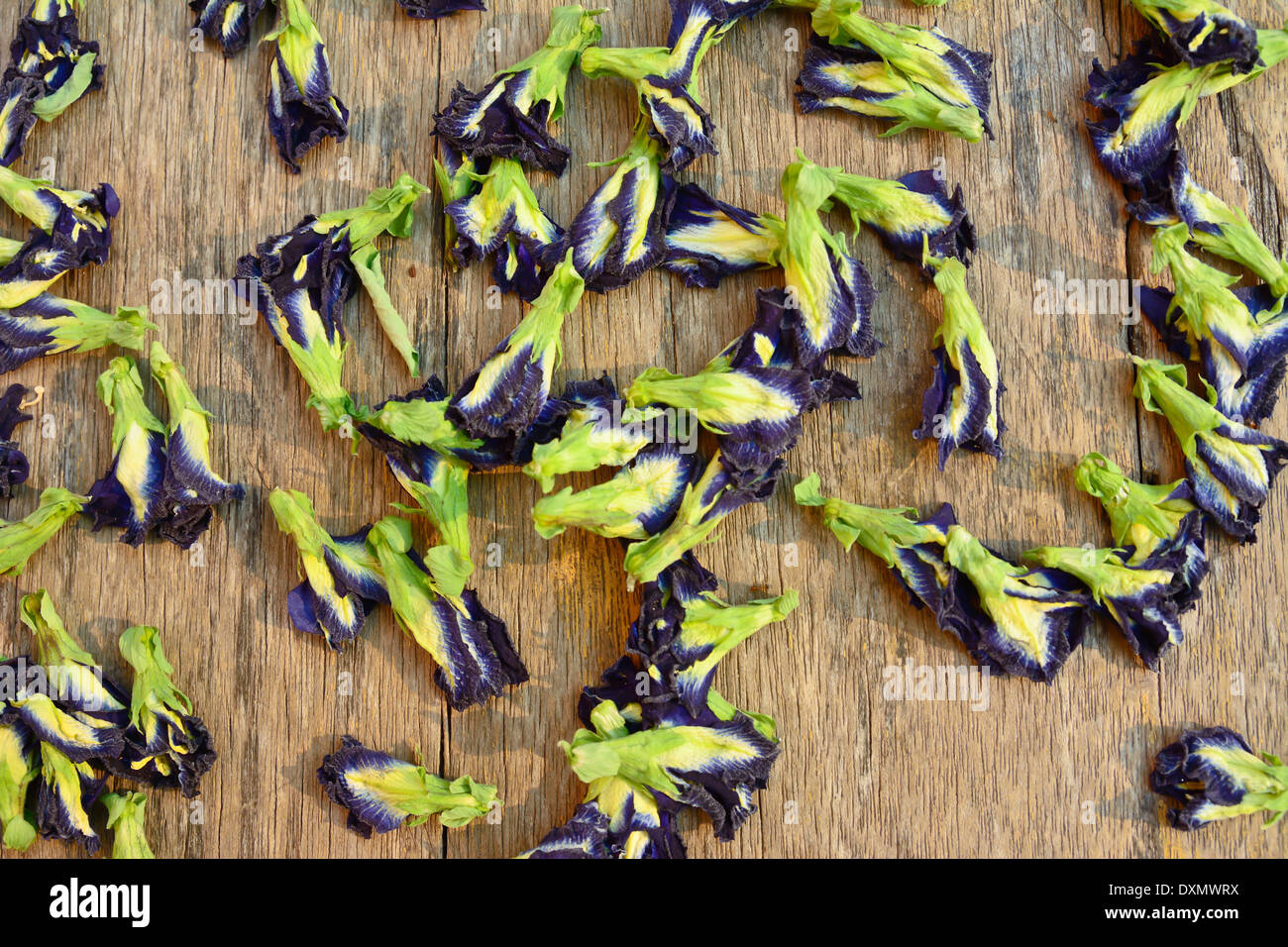 Sun dried butterfly pea flowers on the table Stock Photo Alamy