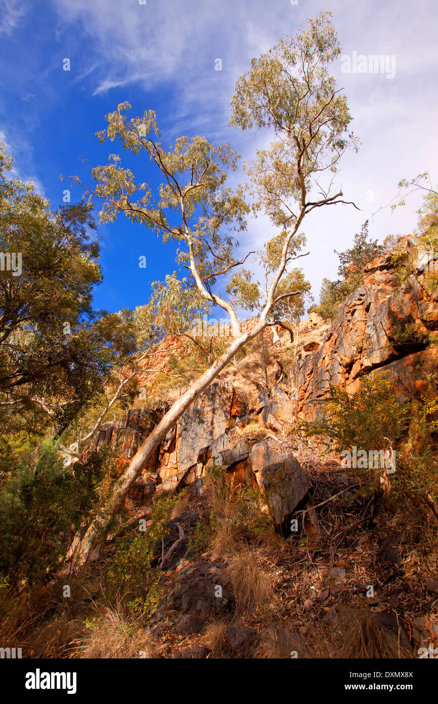 Stanley Chasm West MacDonnell Ranges Central Australia Northern Territory Stock Photo