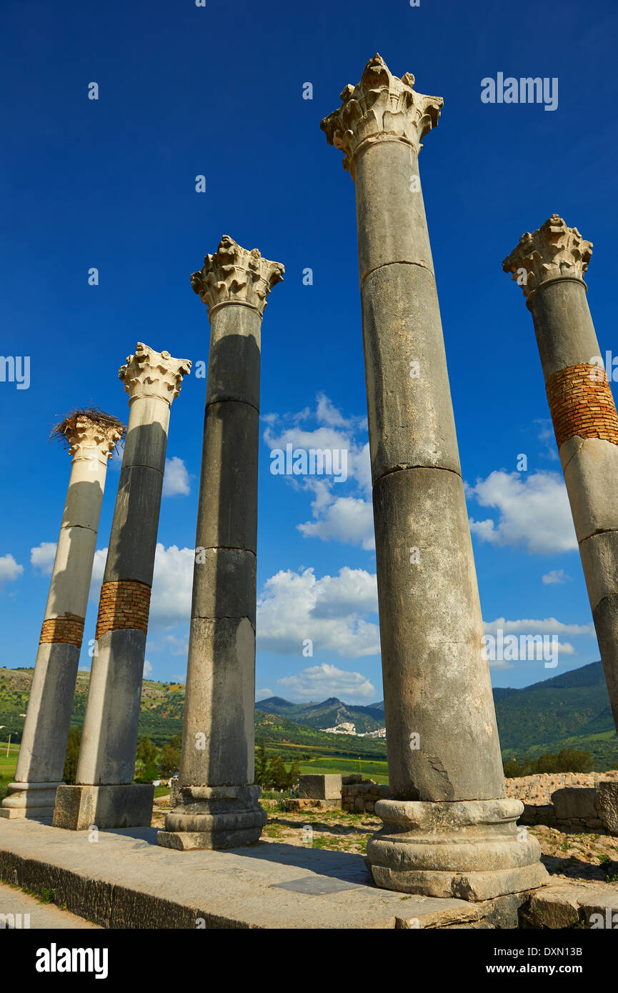 The Corinthian columns of Capitoline Temple, Volubilis Archaeological Site, near Meknes, Morocco Stock Photo