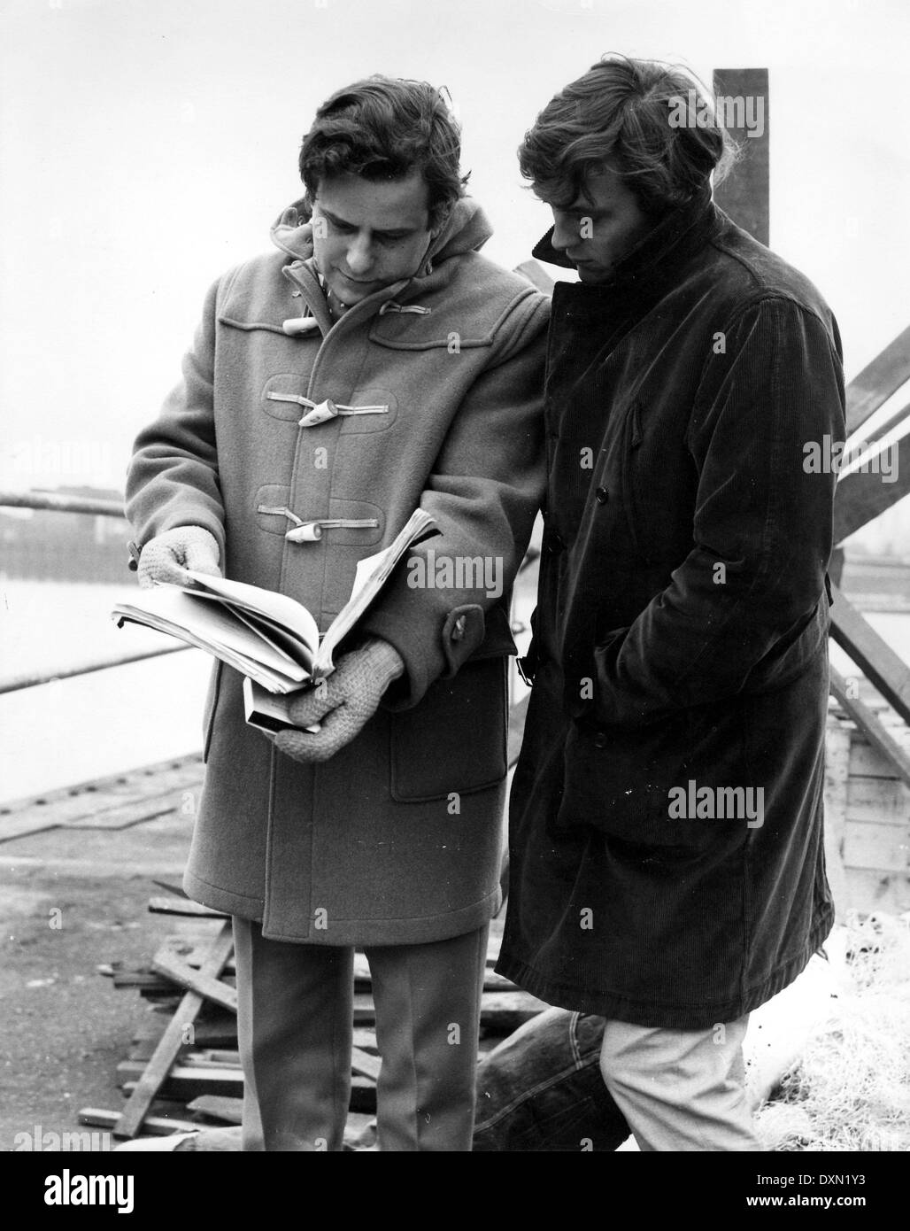 THE WALKING STICK Stock Photo Alamy