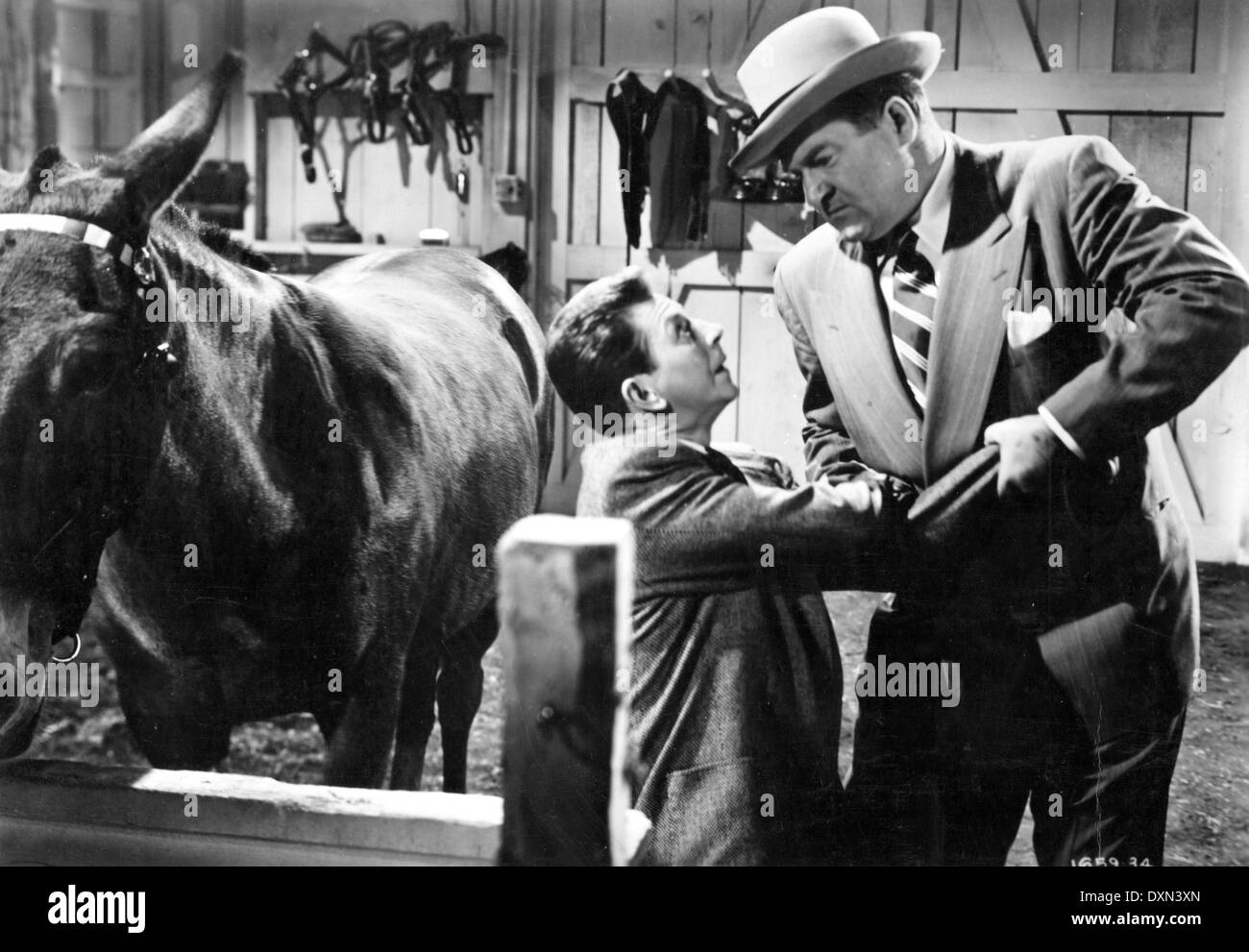 Francis kelley hires stock photography and images Alamy