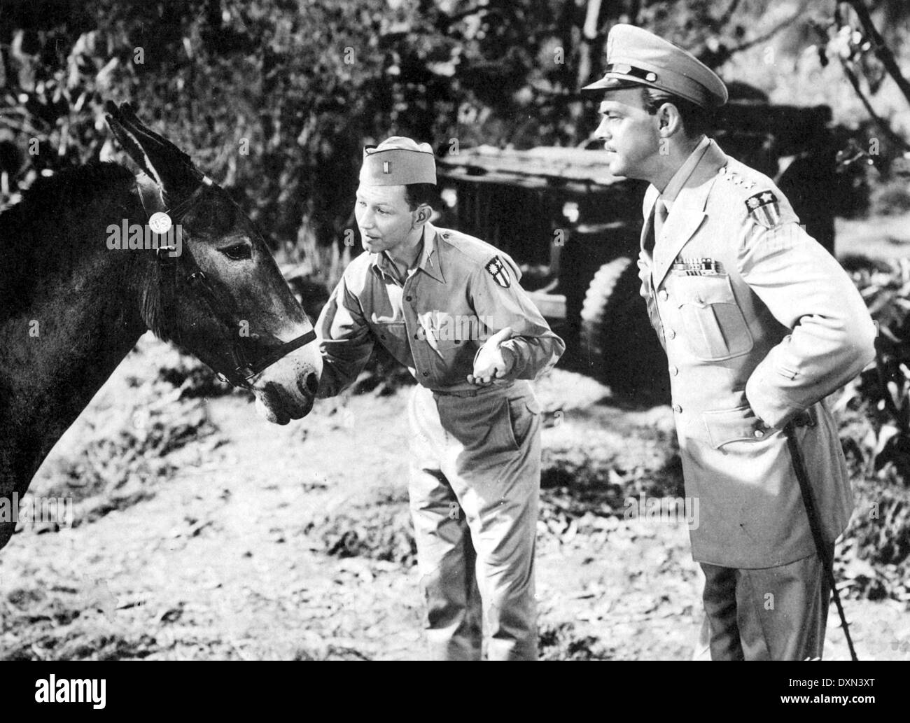 FRANCIS Stock Photo Alamy