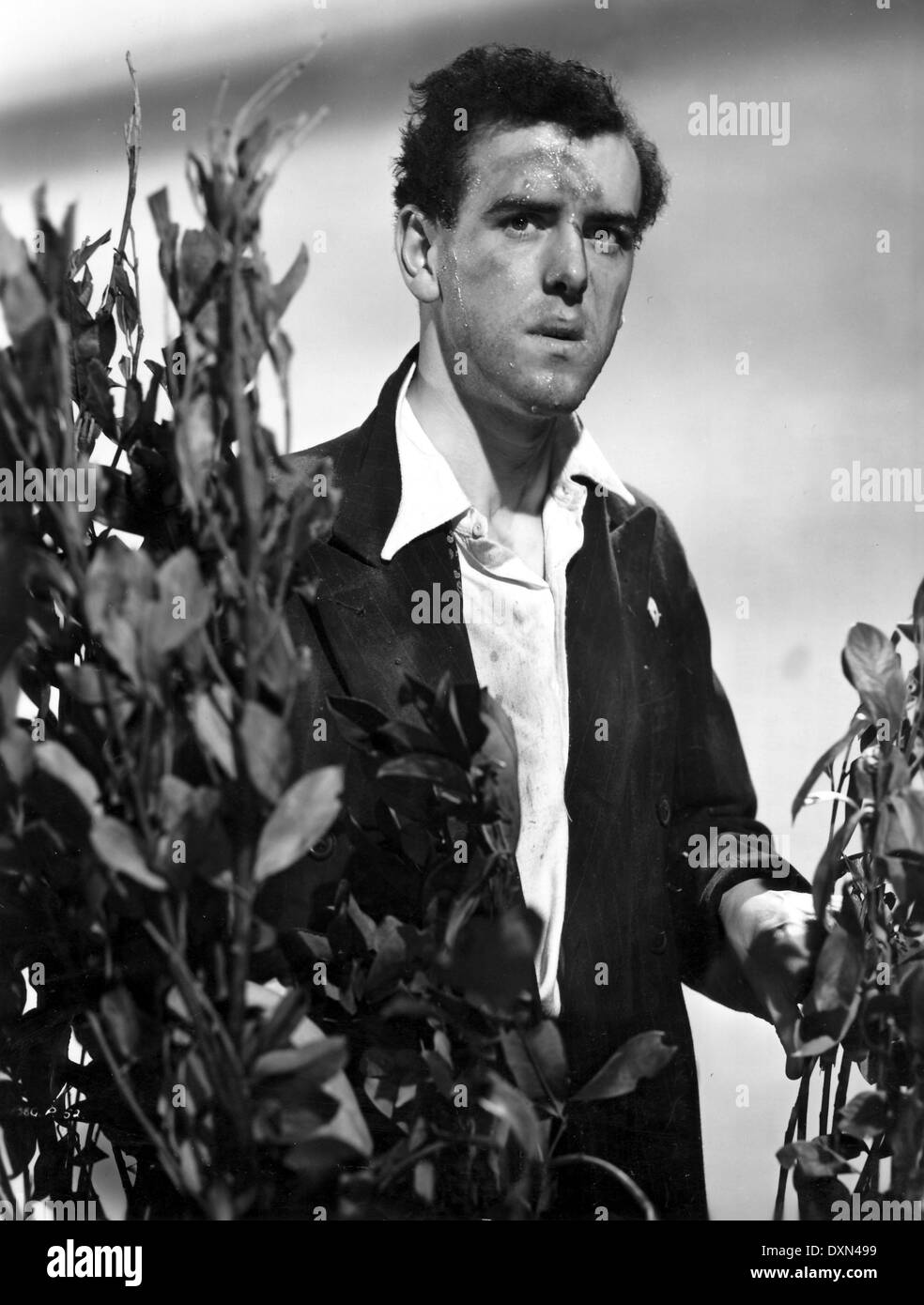 Keeper still Black and White Stock Photos Images Alamy