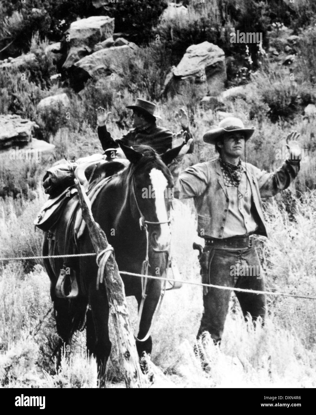 RIDE IN THE WHIRLWIND Stock Photo Alamy