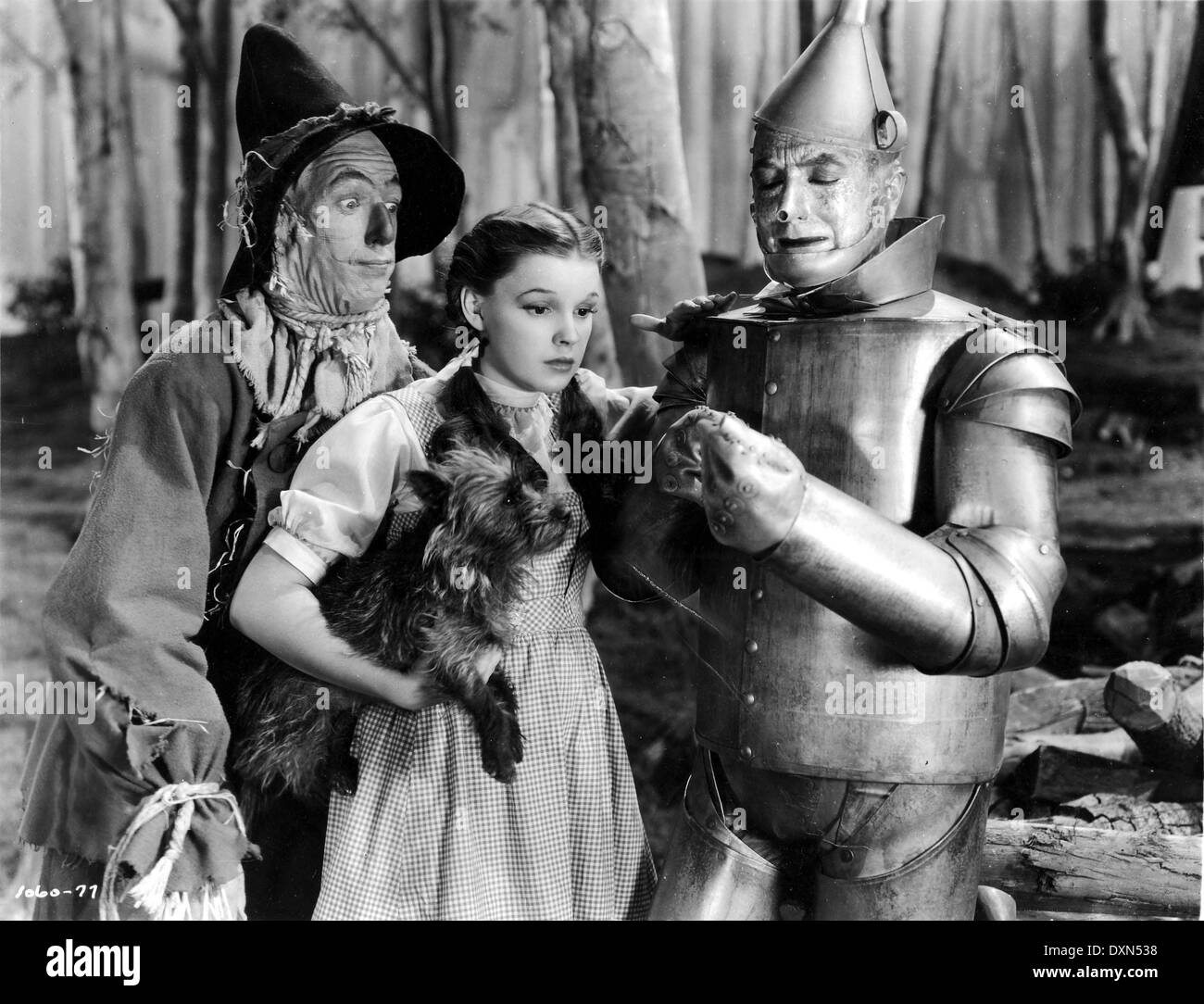 THE WIZARD OF OZ Stock Photo