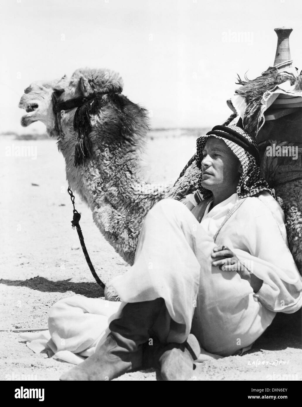 LAWRENCE OF ARABIA Stock Photo