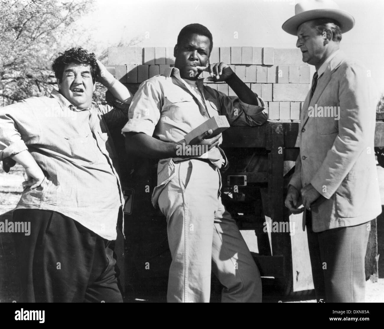 LILIES OF THE FIELD Stock Photo Alamy