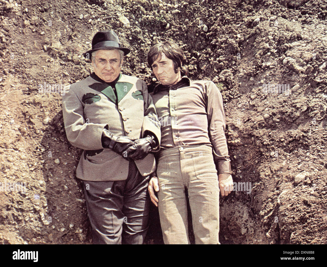 DIGBY, THE BIGGEST DOG IN THE WORLD Stock Photo Alamy