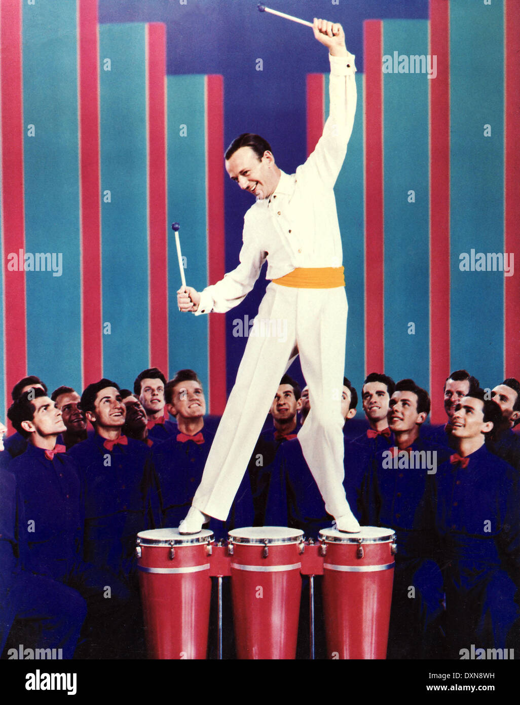 DADDY LONG LEGS Stock Photo Alamy