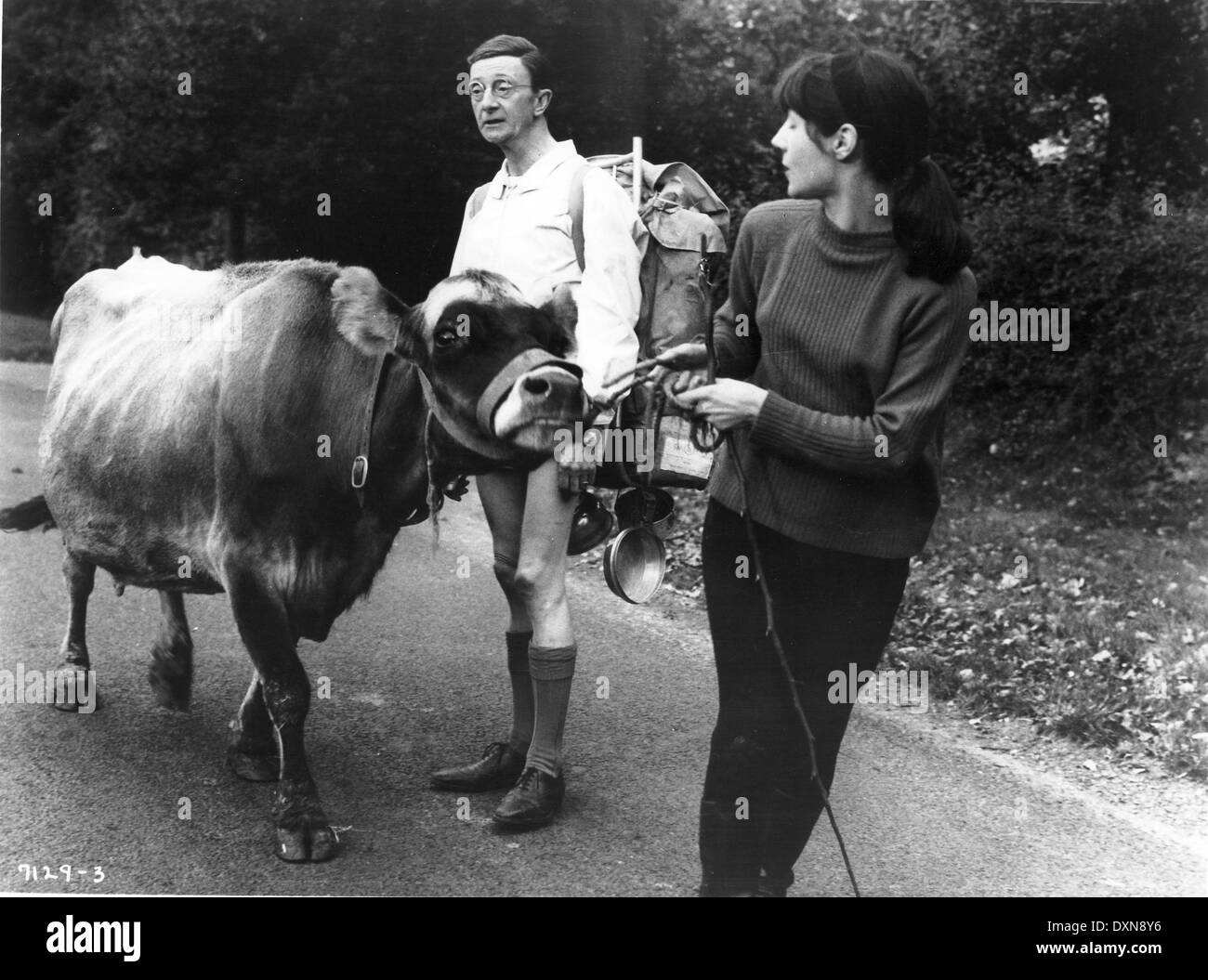 CARRY ON CAMPING Stock Photo