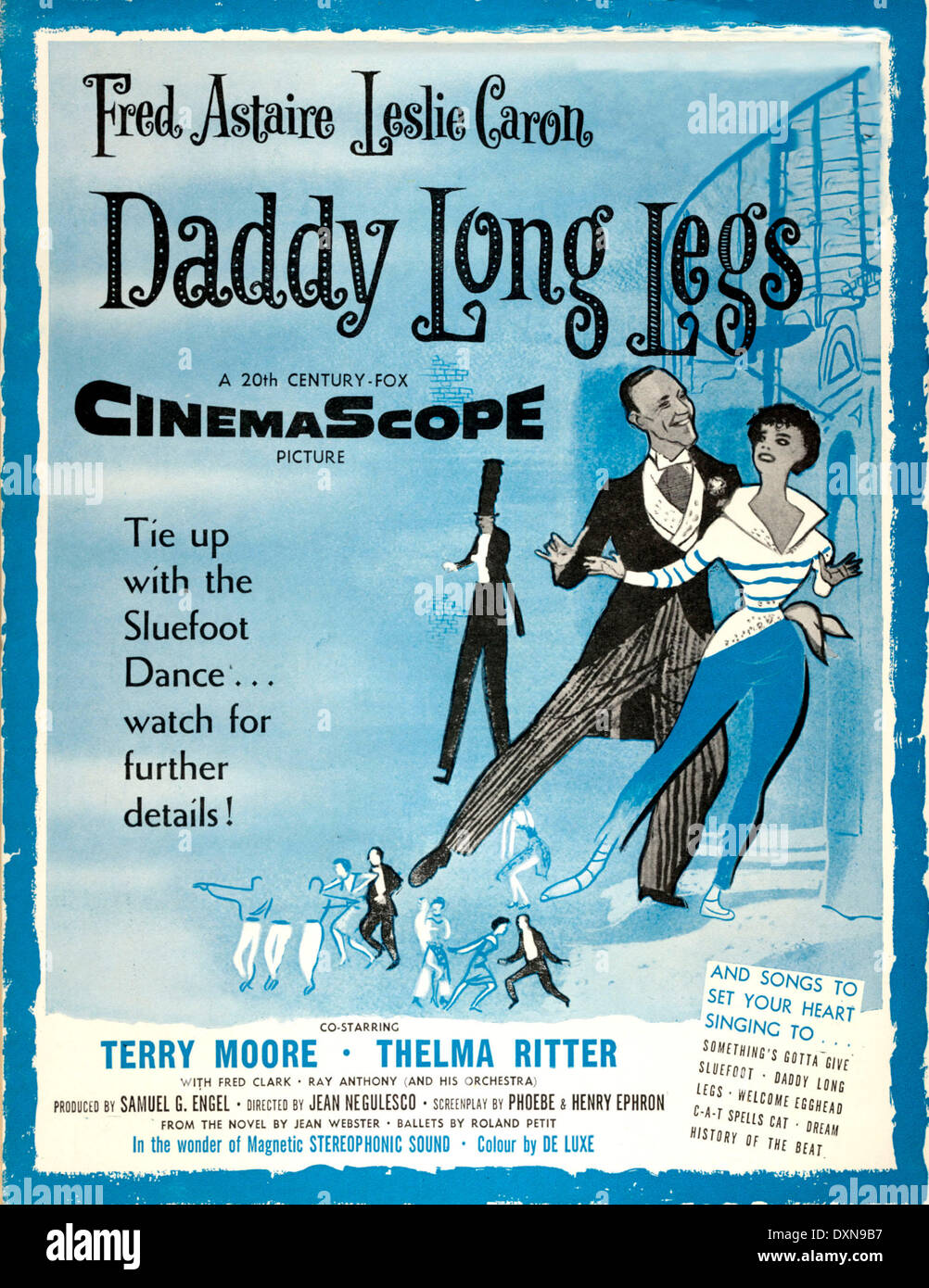 DADDY LONG LEGS Stock Photo