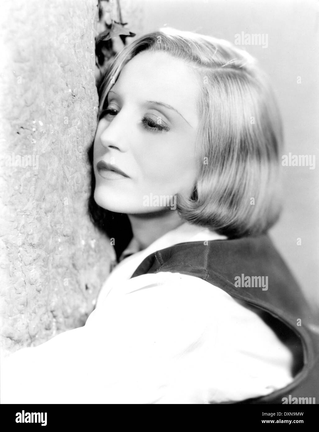 AS YOU LIKE IT Stock Photo Alamy