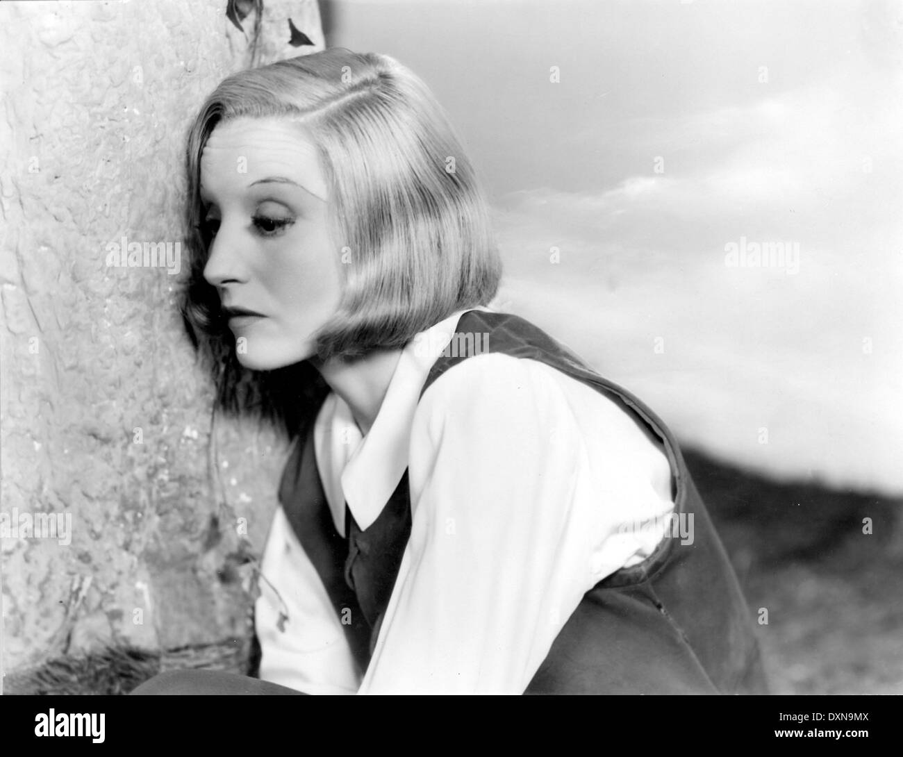 AS YOU LIKE IT Stock Photo Alamy