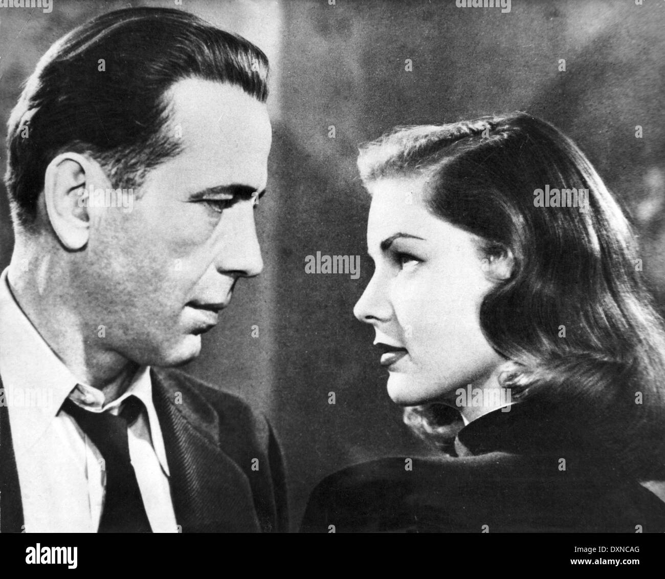 The big sleep stock photo alamy